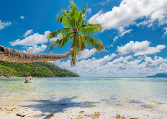 GOA Tenders - 71 Active Tenders